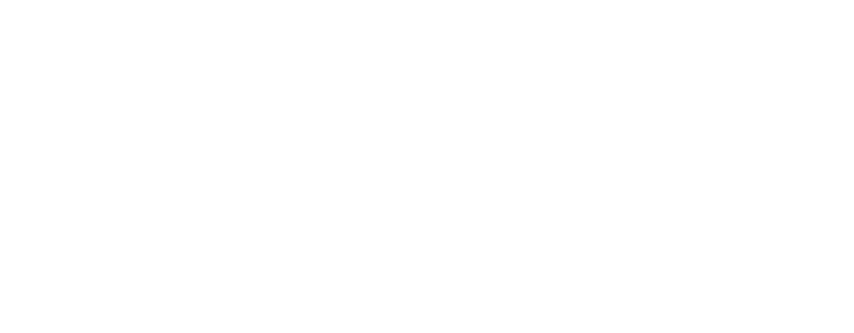 Survey Point Logo